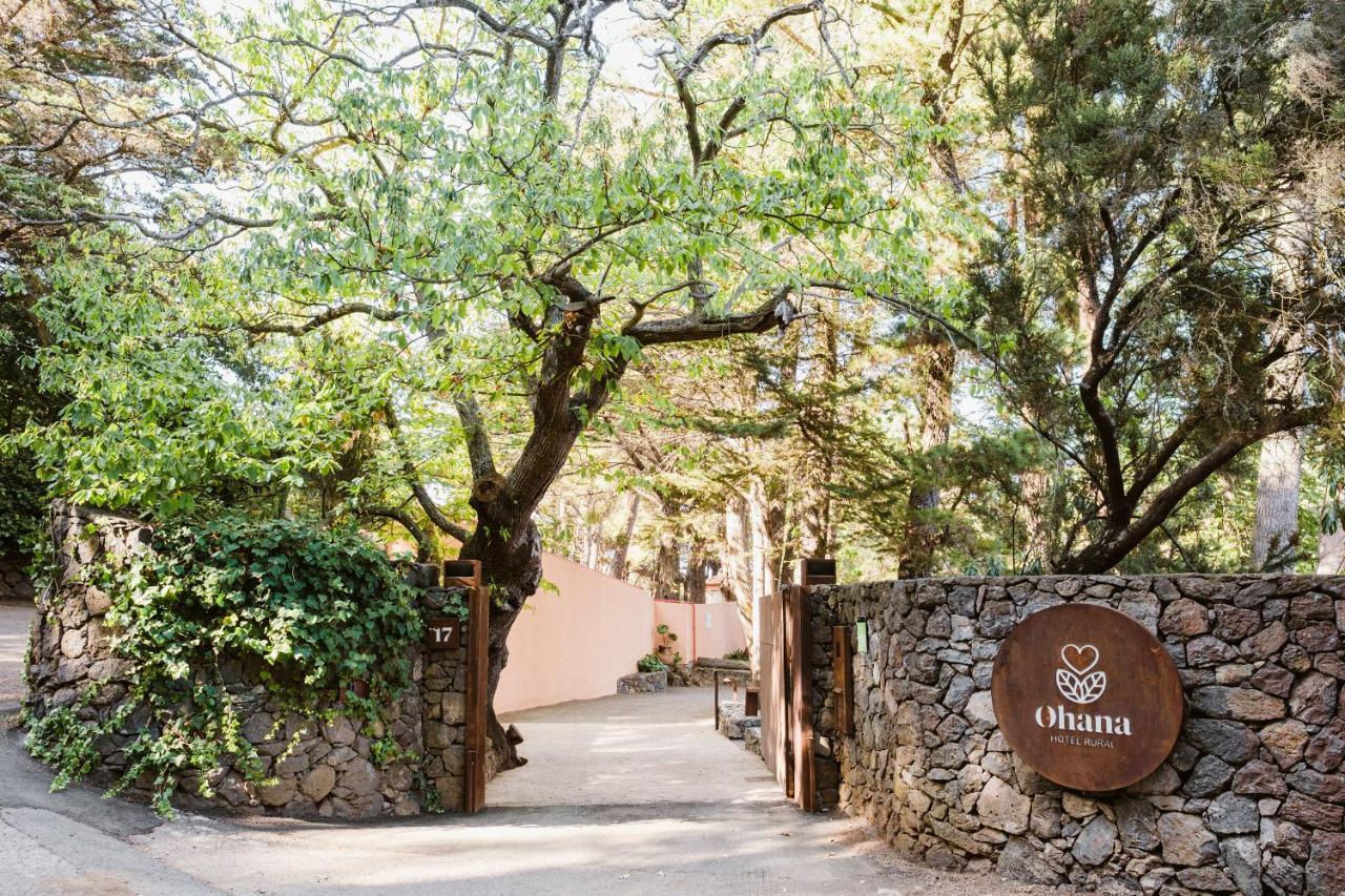 Hotel Rural Ohana ซานตาครูซ เด เตเนริเฟ ภายนอก รูปภาพ